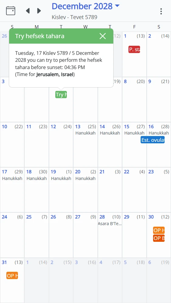 MikvahKal Examination View Screenshot