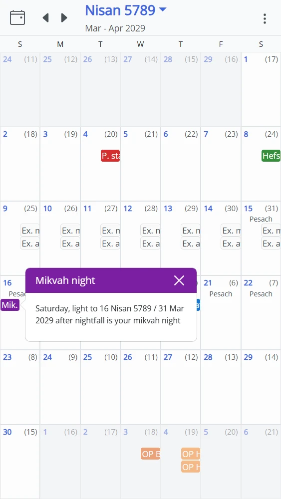 MikvahKal Mikvah Night View Screenshot